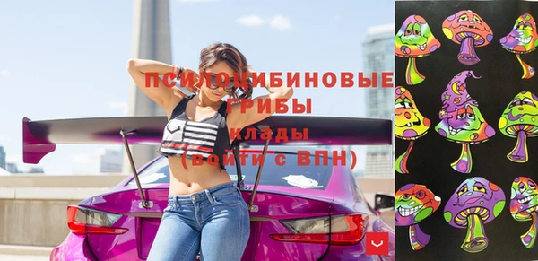 a pvp Тайга