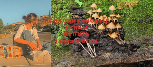 хмурый Тобольск