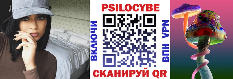 Купить где Слободской Псилоцибиновые грибы Psilocybe